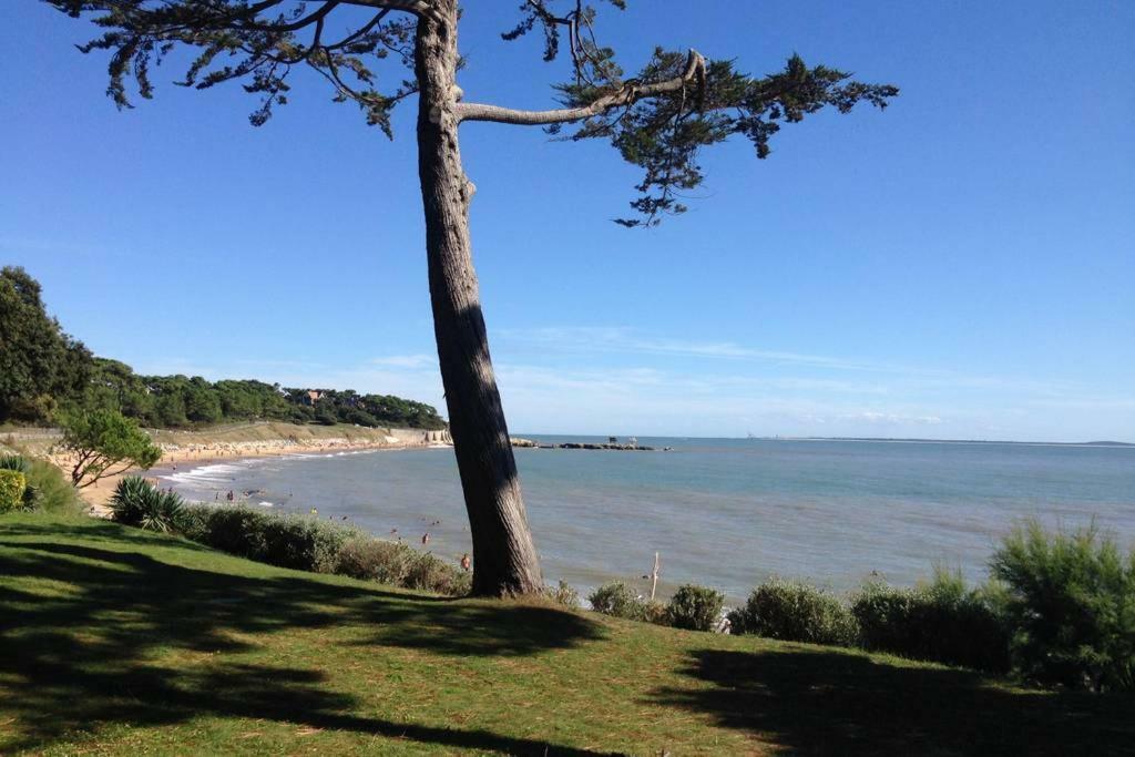 18 Rue De La Corvette Lejlighed Saint-Palais-sur-Mer Eksteriør billede